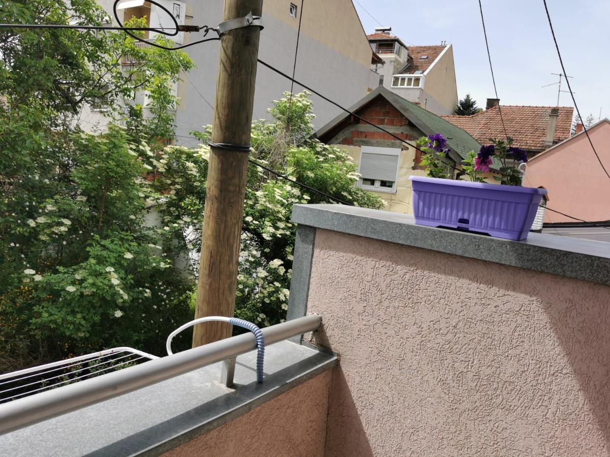 Apartmani Milica Kruševac Eksteriør bilde
